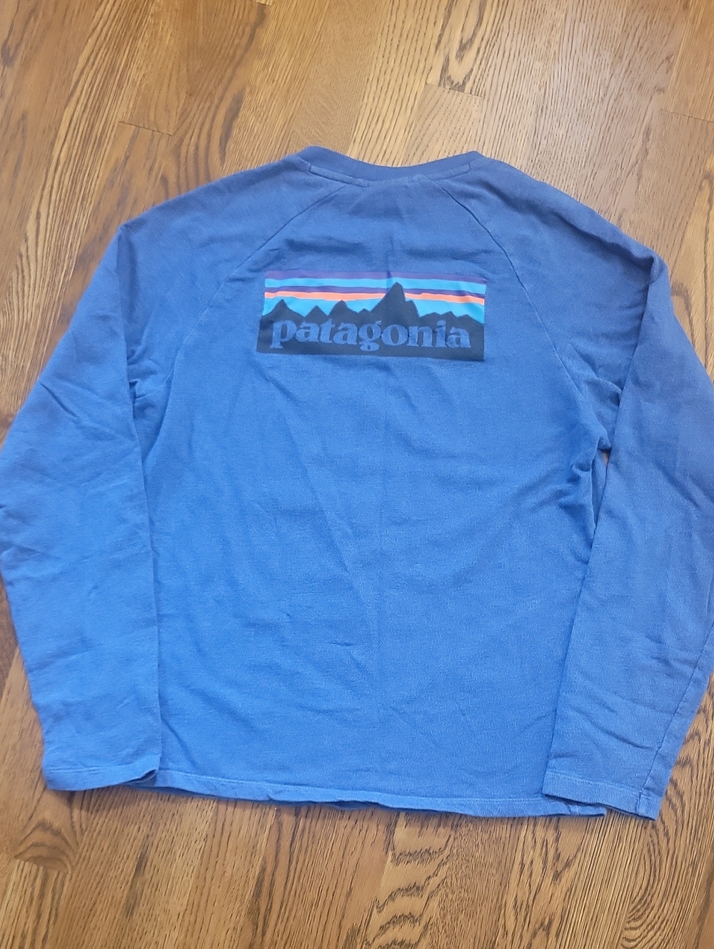Patagonia Blue Crewneck Sweatshirt with Mountain Logo Medium